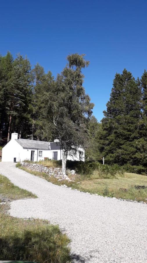 Torgoyle Cottage Inverness Ngoại thất bức ảnh
